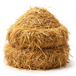 Similar image 22624263