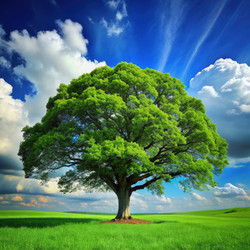 Similar image 22625371