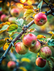 Similar image 22625446