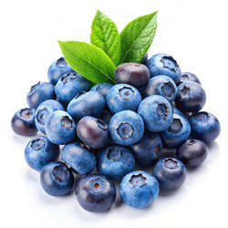 Similar image 22613733