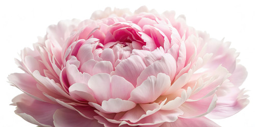 Similar image 22614031