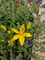 Similar image 22608093