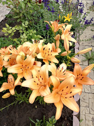 Similar image 22608094