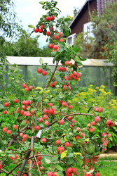 Similar image 22608097