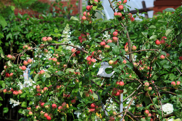 Similar image 22608098