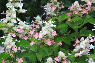 Similar image 22608099