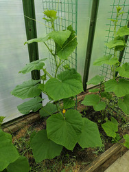 Similar image 22608100