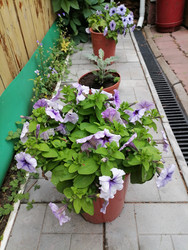 Similar image 22608102