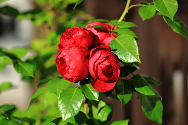 Similar image 22608103