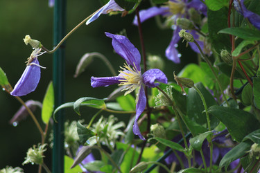 Similar image 22608104