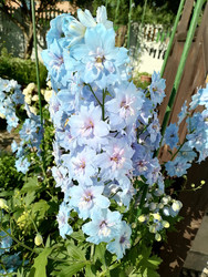 Similar image 22608105