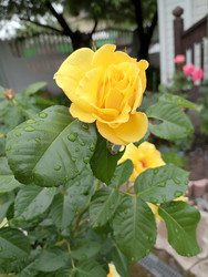 Similar image 22608106