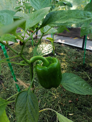 Similar image 22608118