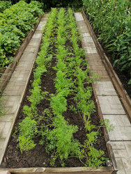 Similar image 22608119