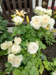 Similar image 22608120