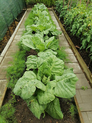 Similar image 22608121