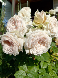 Similar image 22608122