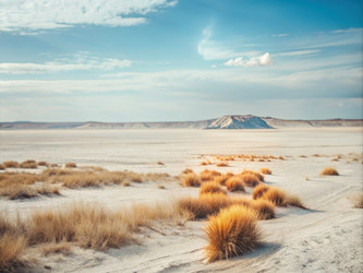 Similar image 22613041