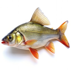 Similar image 22620261