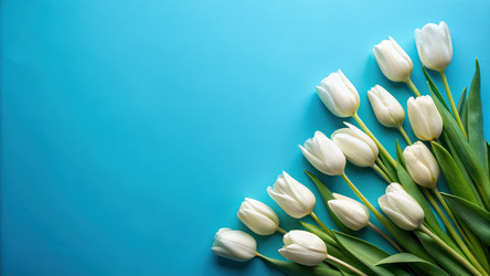 Similar image 22620417