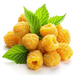 Similar image 22620135