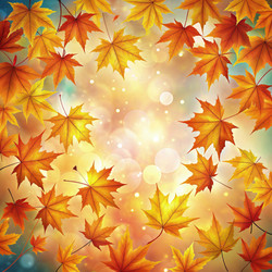 Similar image 22620346