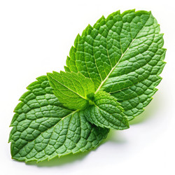 Similar image 22620386