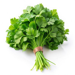 Similar image 22613616