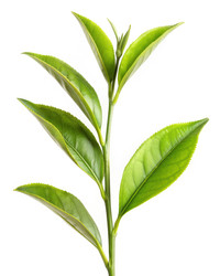 Similar image 22613118