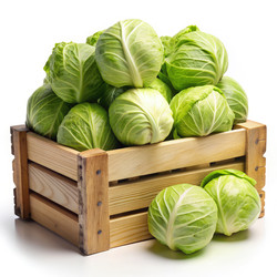 Similar image 22613676