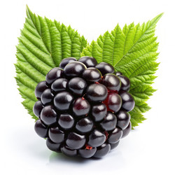 Similar image 22613844