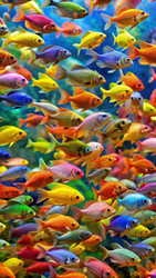 Similar image 22613902