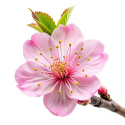 Similar image 22620544