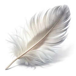 Similar image 22612504