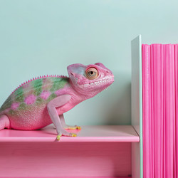 Similar image 22612972