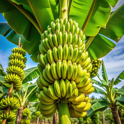 Similar image 22613000