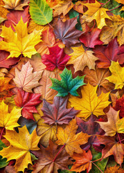 Similar image 22613031