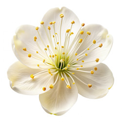 Similar image 22613089