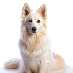 Similar image 22613875