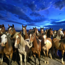 Similar image 22612449