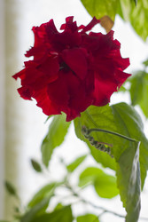 Similar image 22607966