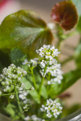 Similar image 22607967