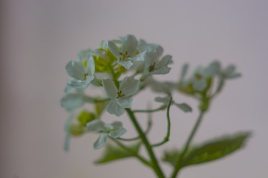 Similar image 22607968