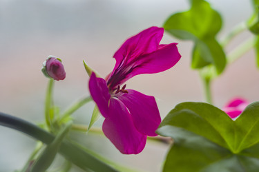 Similar image 22607969