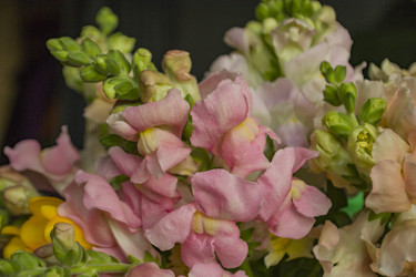 Similar image 22607970