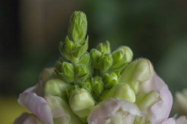 Similar image 22607971