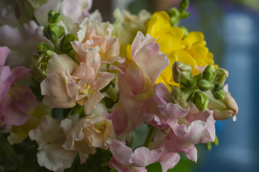 Similar image 22607980