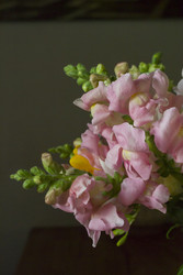 Similar image 22607981