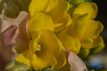 Similar image 22607982