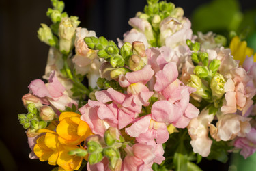 Similar image 22607983